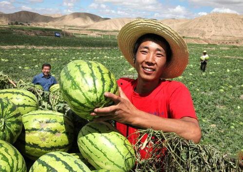 江西太晚娱乐陪你吃瓜,陪你吃瓜,畅谈娱乐圈新鲜事
